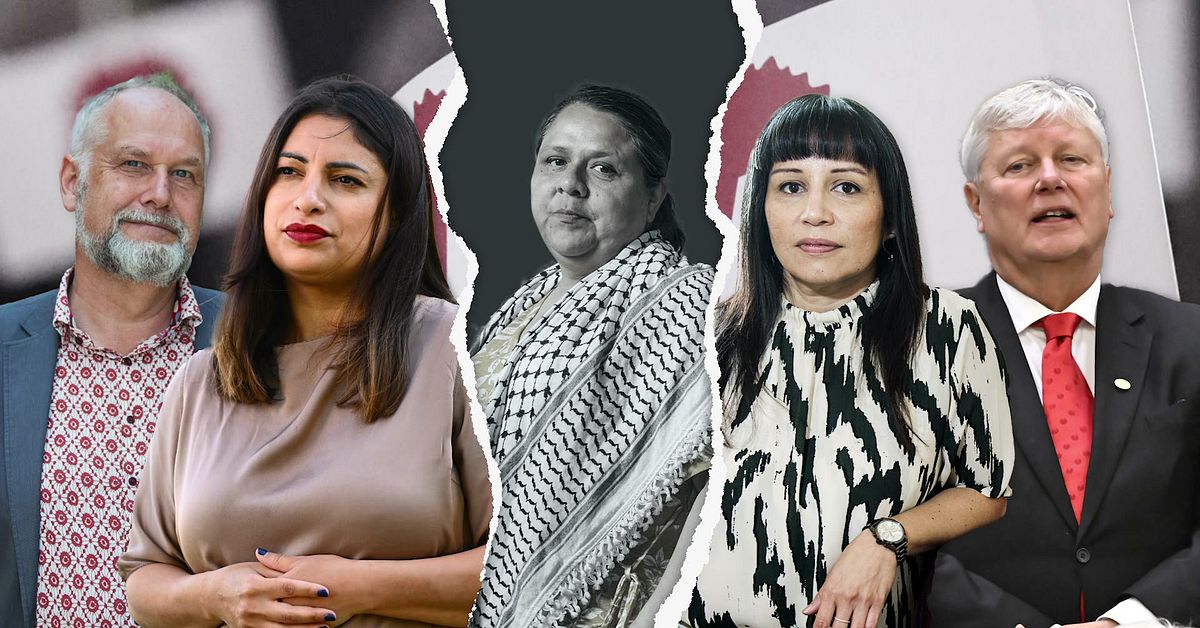 Lorena Delgado Varas och Daniel Riazat utesluts ur Vänsterpartiet