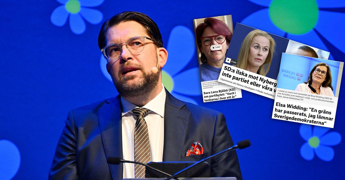 Miljonsm&auml;ll f&ouml;r SD &ndash; efter vildarnas beslut