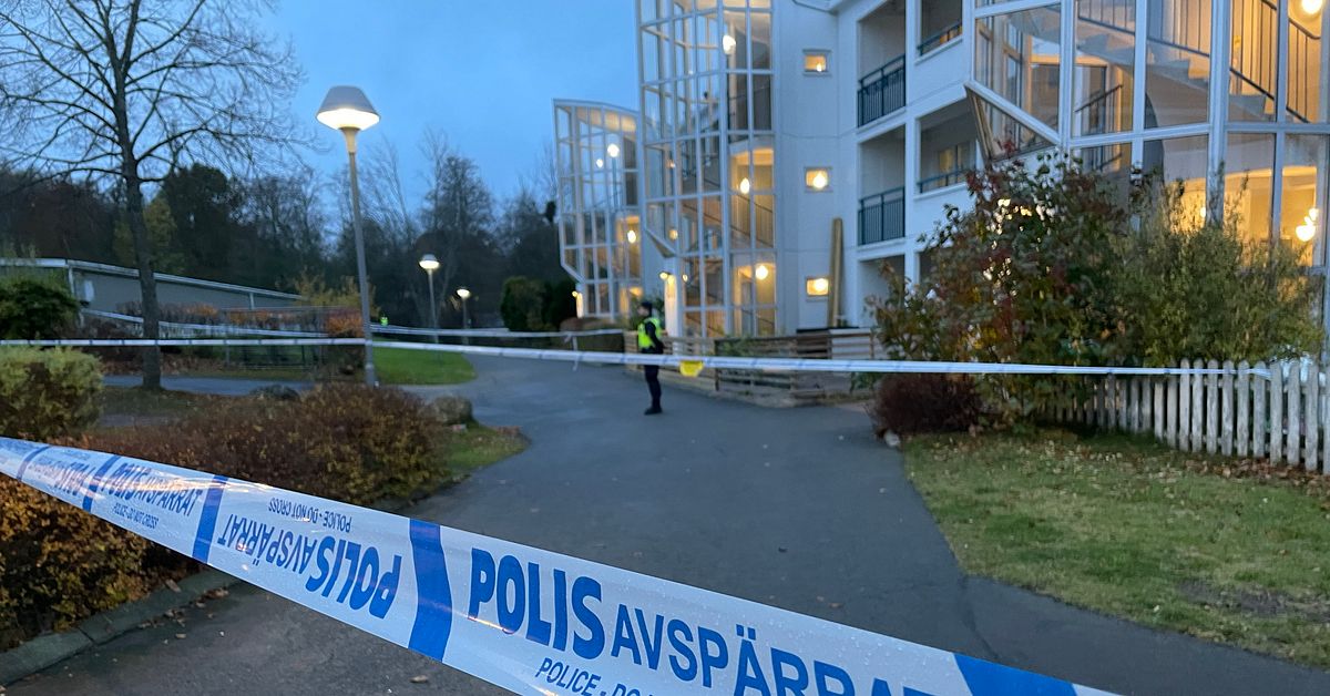 F&auml;ngelse f&ouml;r hanterandet av mordvapnet som anv&auml;ndes p&aring; &Ouml;xnehaga