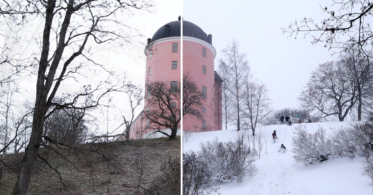 Tre decimeter snö över en natt – se när Uppsala blir vinterstad | SVT ...