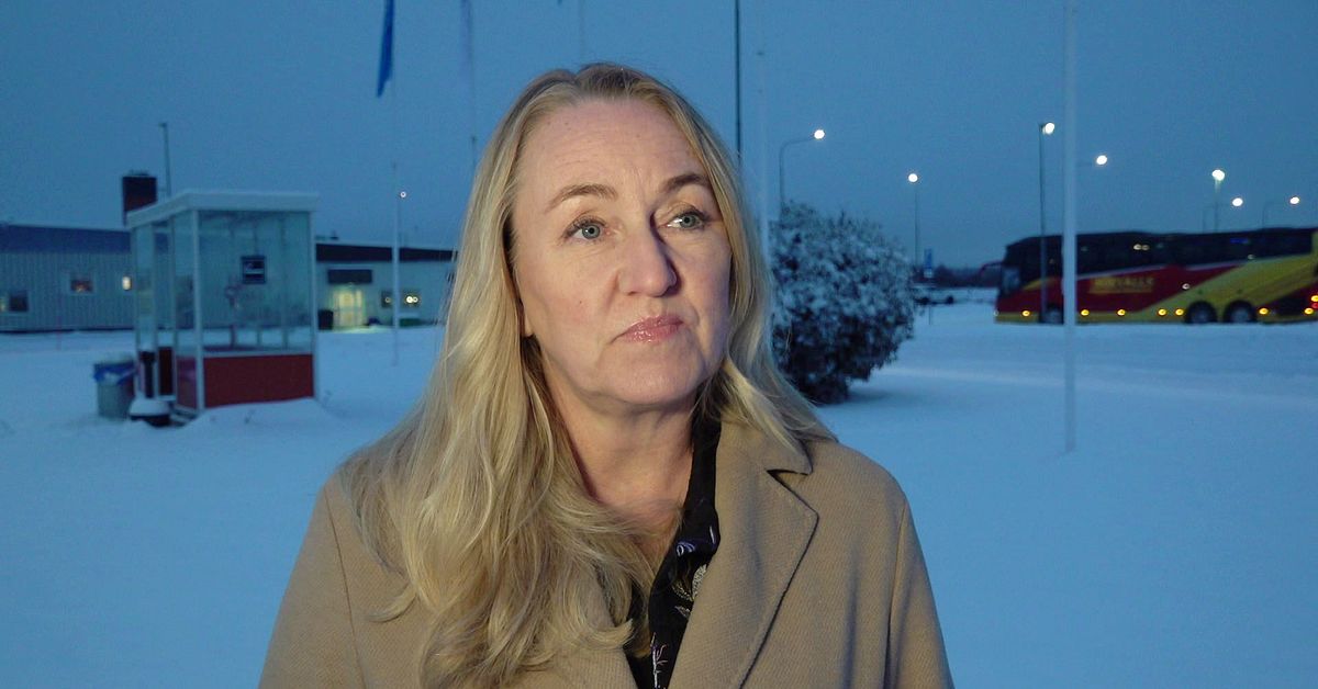 Så vill branschen kompensera gruvkommunerna i Sverige