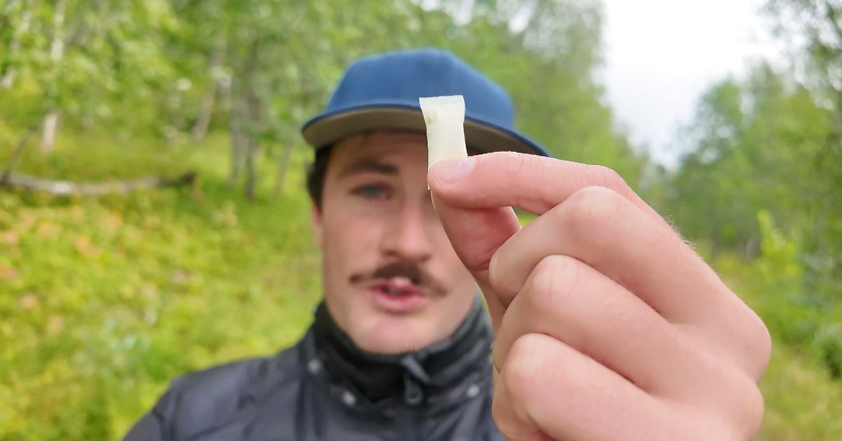 Trendbrott i fjällen – nedskräpningen minskar kraftigt