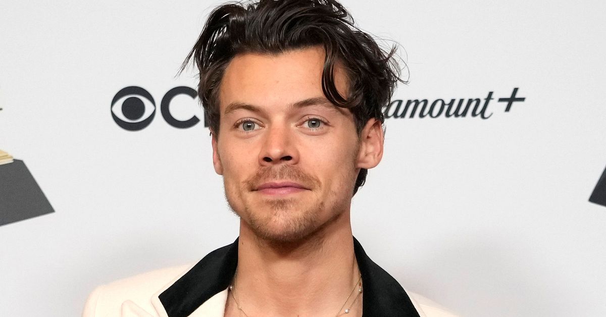 Fansen rasar mot Harry Styles biljettpriser: &rdquo;H&ouml;jden av girighet&rdquo;
