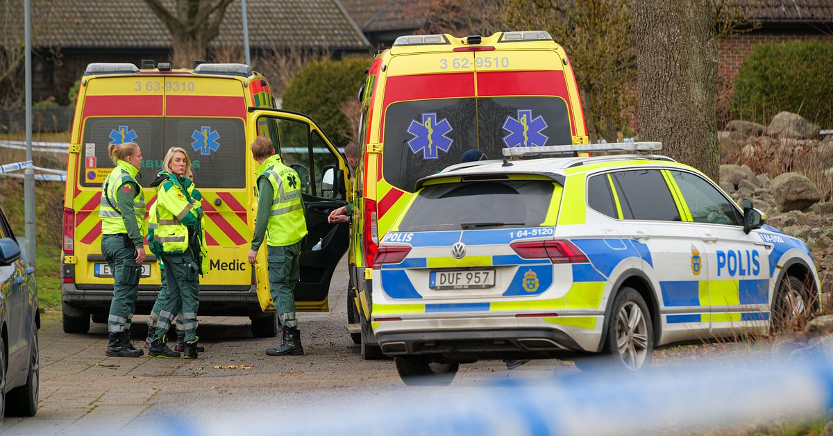 Stor polisinsats i Hörby