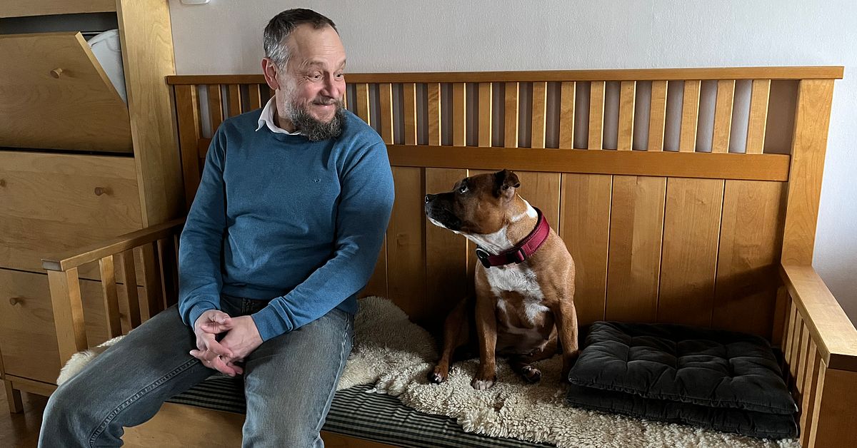 Hunden Maja blev biten av orm – inspirerade till webbtjänst för oroliga djurägare