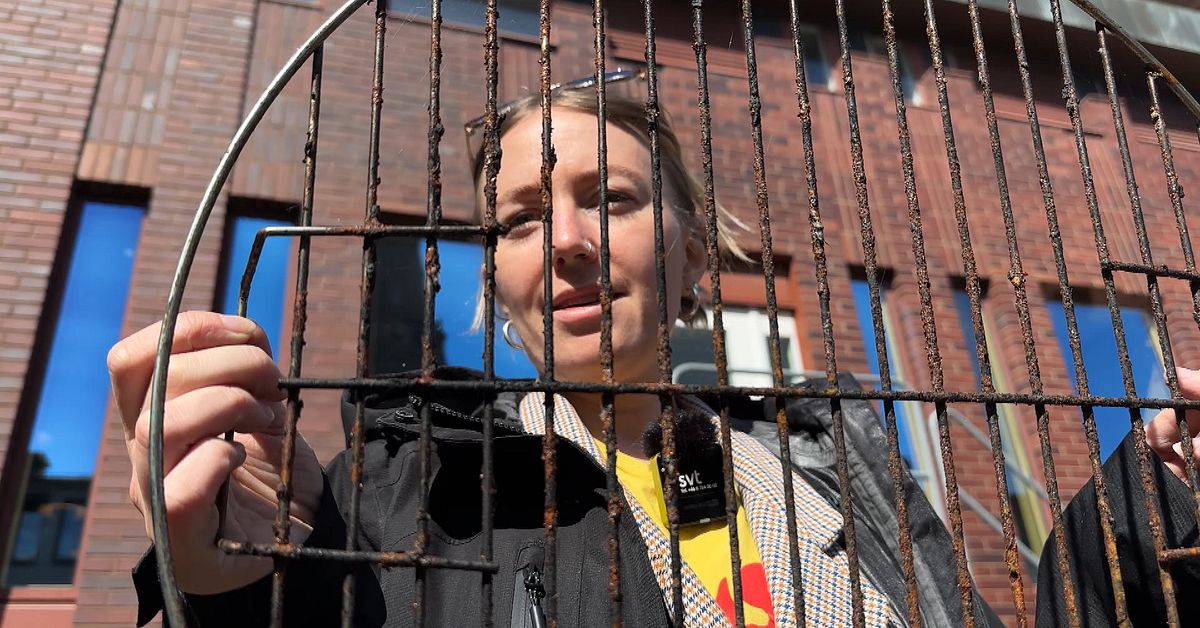 S&aring; reng&ouml;r du grillgallret &ndash; utan borste