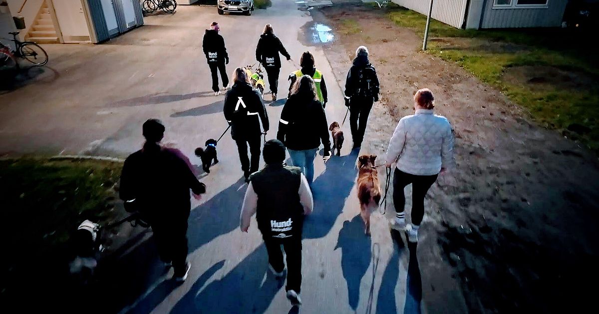 Hundpromenader ska &ouml;ka tryggheten i Skellefte&aring;: &rdquo;R&auml;dd att bli r&aring;nad&rdquo;
