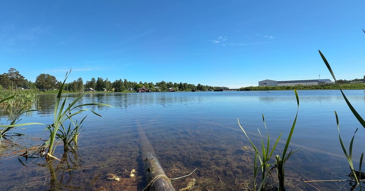 30&nbsp;000 kubikmeter f&ouml;rgiftat sediment ska sugas upp ur Stockaviken