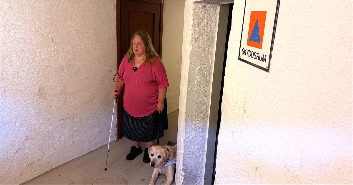Blinda Helenas oro om larmet g&aring;r: &rdquo;Beroende av omgivningen till 100 procent&rdquo;