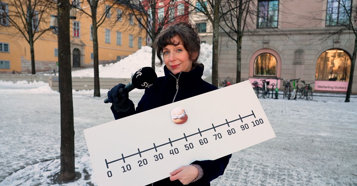 www.svt.se