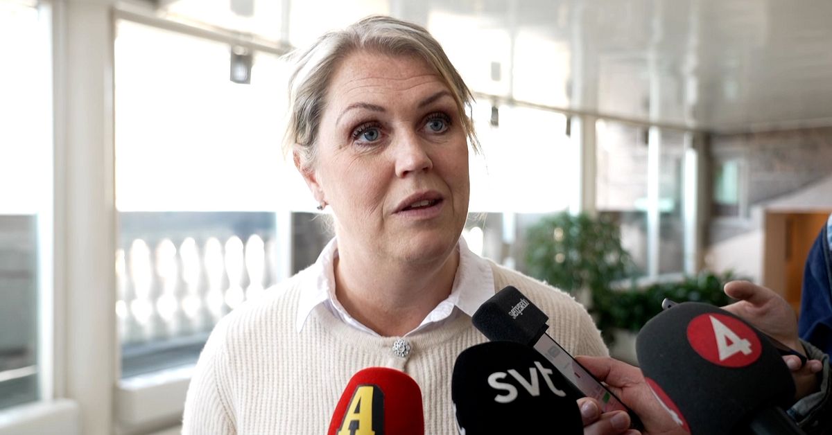 Tv&aring; S-krav p&aring; SD: &rdquo;Ska inte l&ouml;na sig att fuska&rdquo;