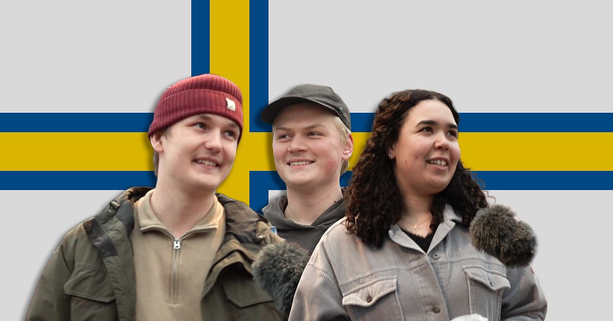 Kampanj för ett självstyrande Norrland – så reagerar norrbottningar