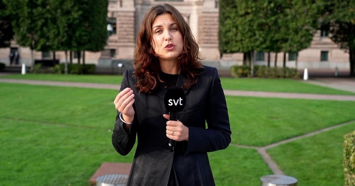 Förhandsbild från källan: SVT nyheter