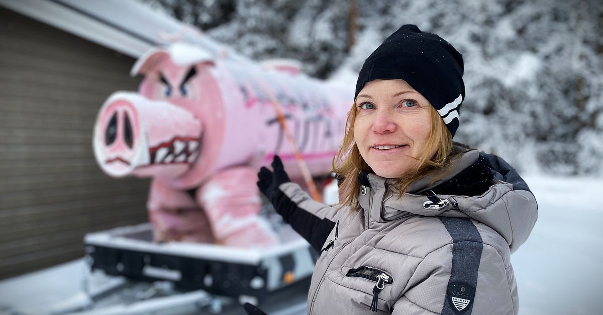 Möt den gigantiska rosa grisen har skickats runt i Jämtland i 18 år