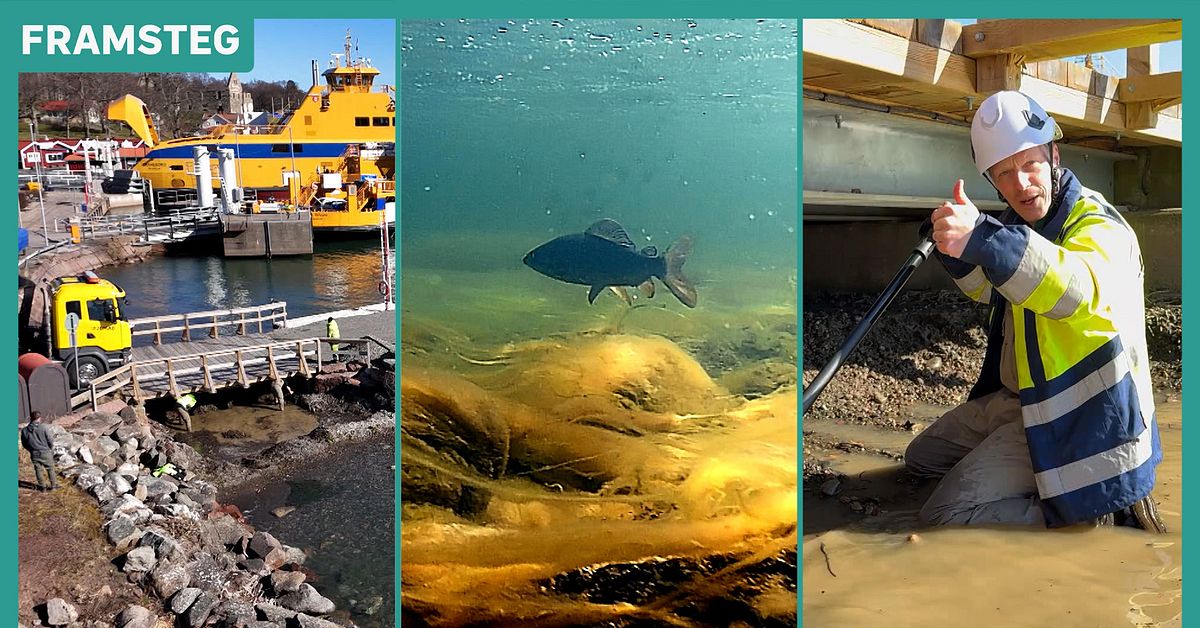 Hotade harrens ov&auml;ntade hj&auml;lp: Bilf&auml;rjor till Visings&ouml;