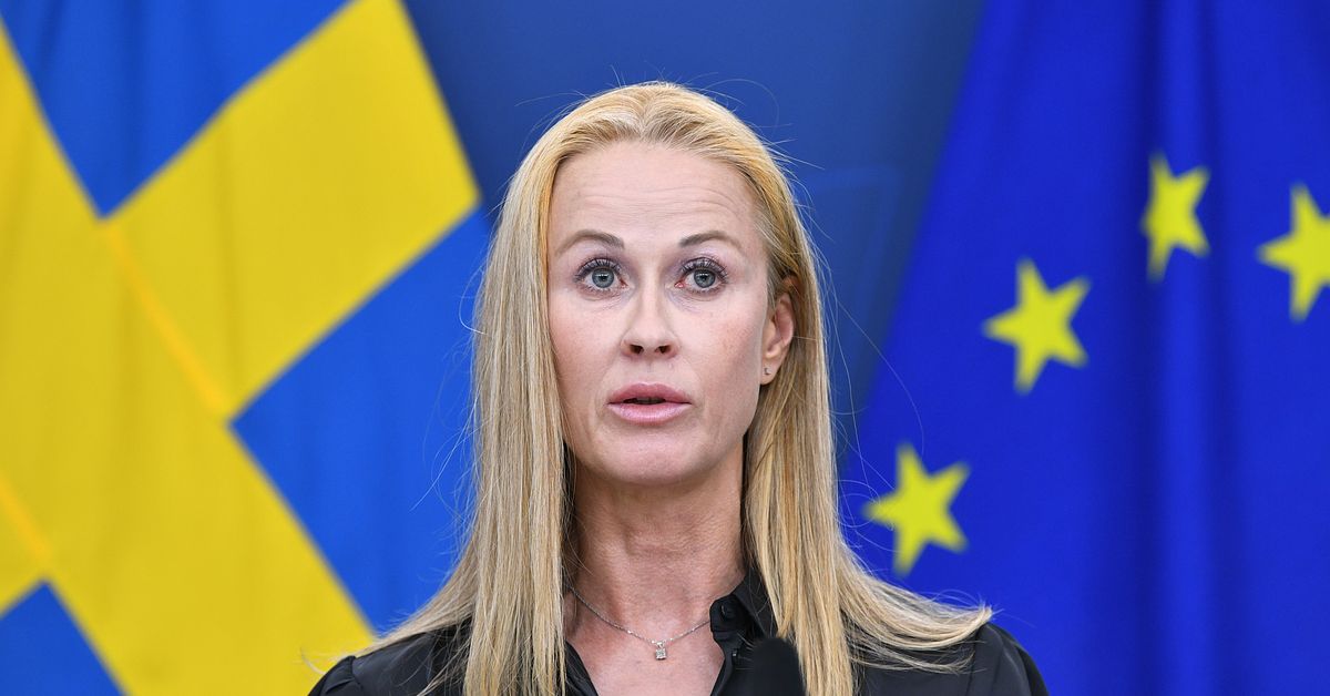 Katja Nyberg hoppar av &ndash; st&auml;ller inte upp i valet f&ouml;r Ambition Sverige