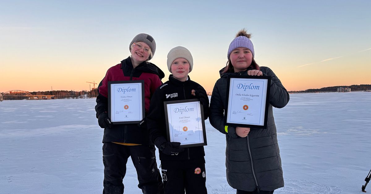 Här är hjältarna som stod för Luleås rådigaste insatser