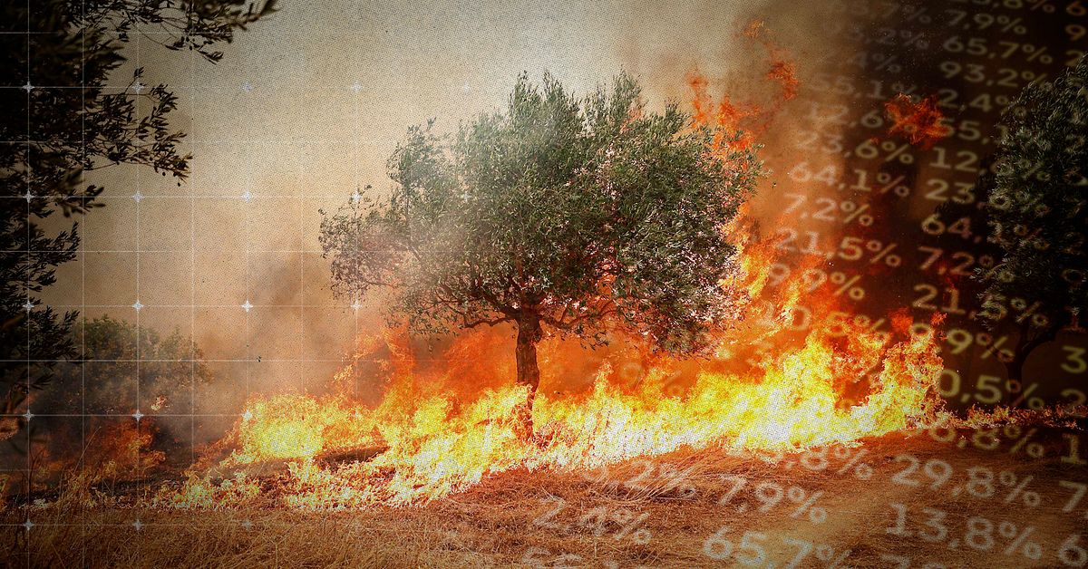 S&aring; m&aring;nga tror att skogsbr&auml;nderna h&auml;nger ihop med klimatf&ouml;r&auml;ndringar