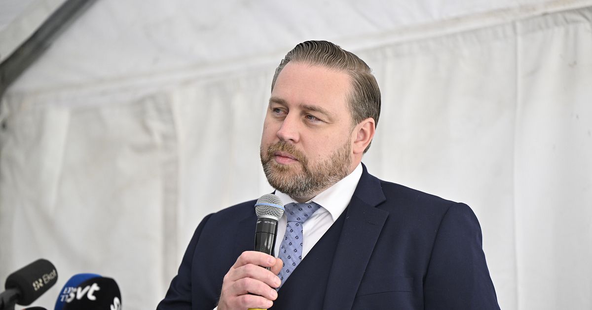 Sverigedemokraternas vitbok visar ett nazistiskt arv