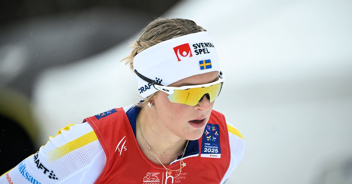 Vill se fängelse för Frida Karlssons stalker – åklagaren överklagar