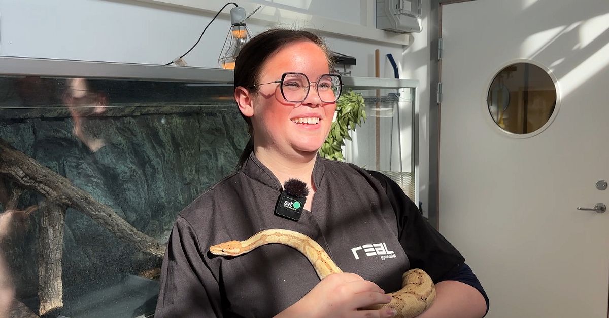 Stina botade ormfobin &ndash; pratar &ouml;stg&ouml;tska med pytonormen Pikachu