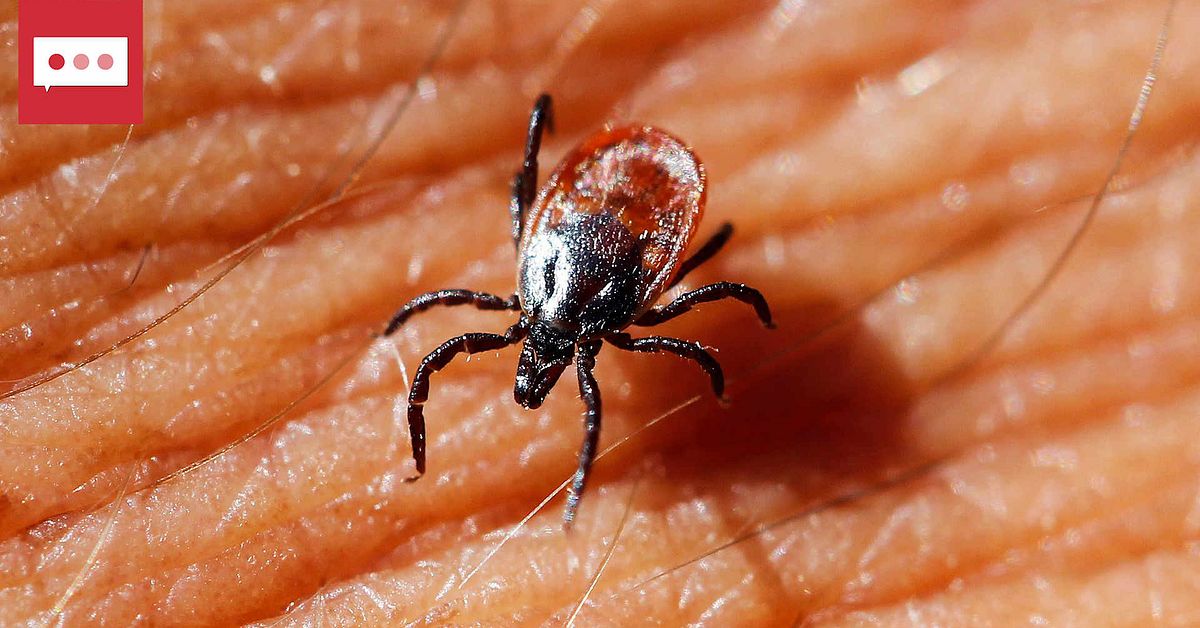 Nytt vaccin mot borrelia p&aring; g&aring;ng &ndash; flera &aring;rs studier bakom