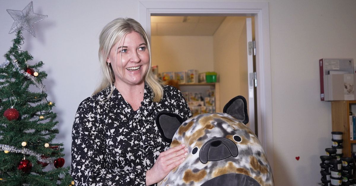 H&auml;r f&aring;r flera tusen barn gratis julklappar