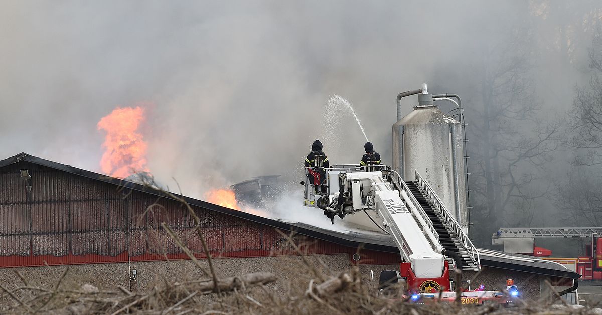 Brand i h&ouml;nseri utanf&ouml;r Perstorp