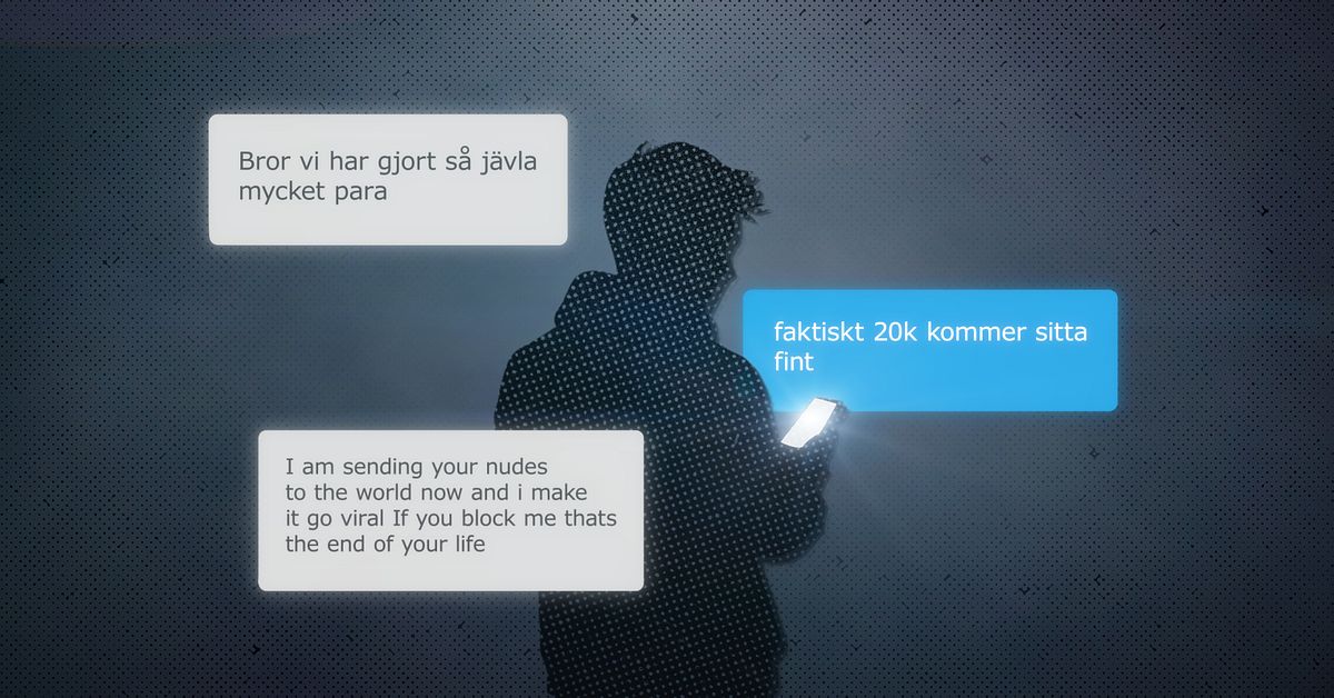 Tiktok-profil fr&aring;n V&auml;sternorrland misst&auml;nks f&ouml;r bedr&auml;gerier