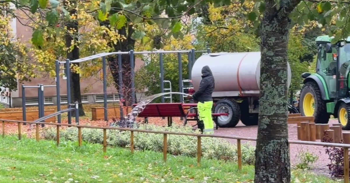 H&auml;r vattnas rabatterna av kommunen &ndash; mitt i &ouml;sregnet