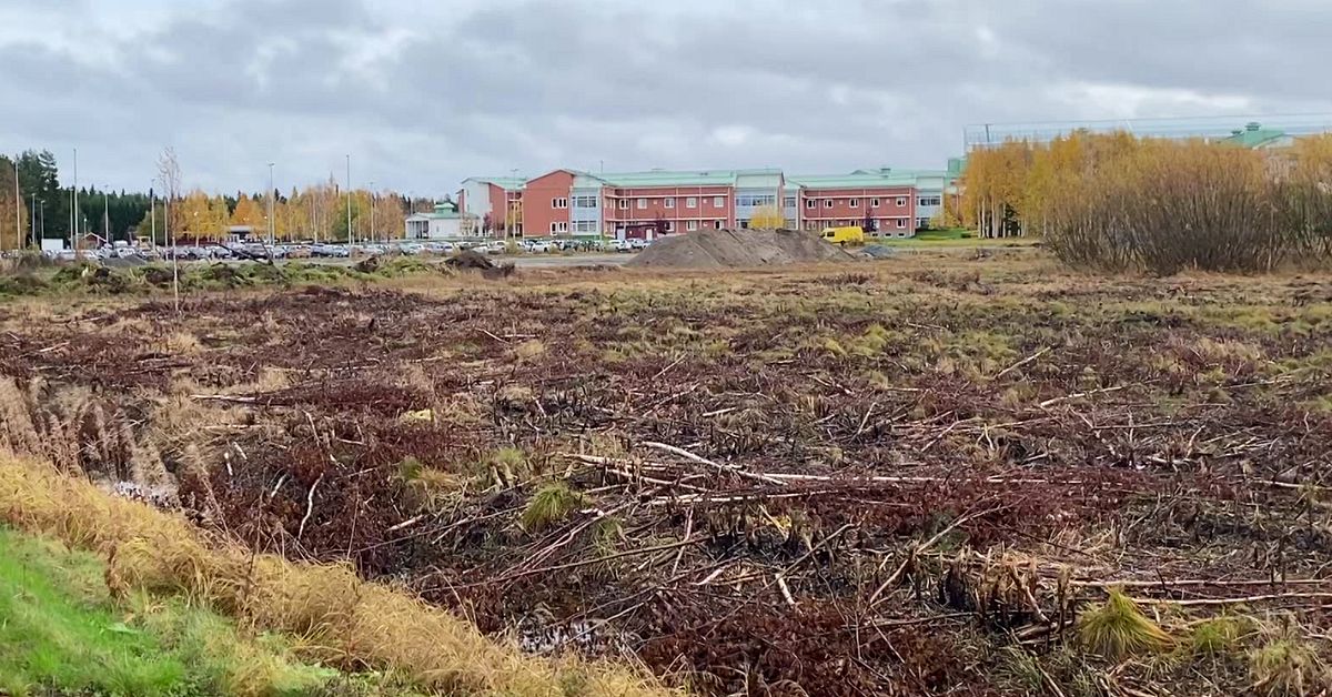 Luleå och Boden växer ihop – här byggs ”Sjukhusstaden”