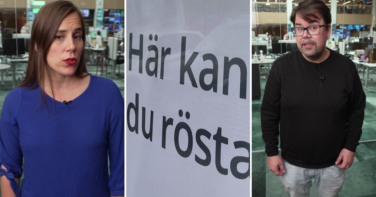 Finska spr&aring;kets livskraft viktig f&ouml;r alla riksdagspartier