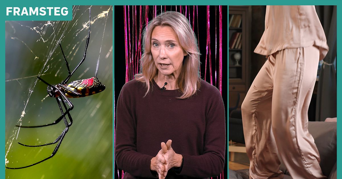 Se spindeltr&aring;den f&auml;rgas &ndash; till dina framtida kl&auml;der