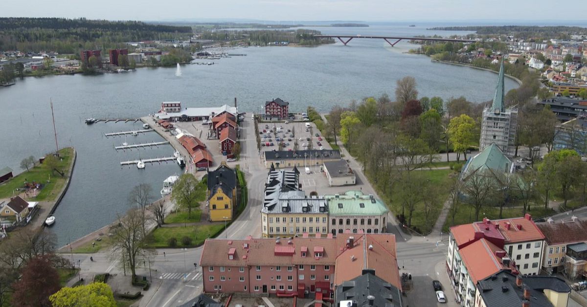 SD-politiker i Motala delade pro-rysk propaganda: &rdquo;Inget vi st&aring;r bakom&rdquo;