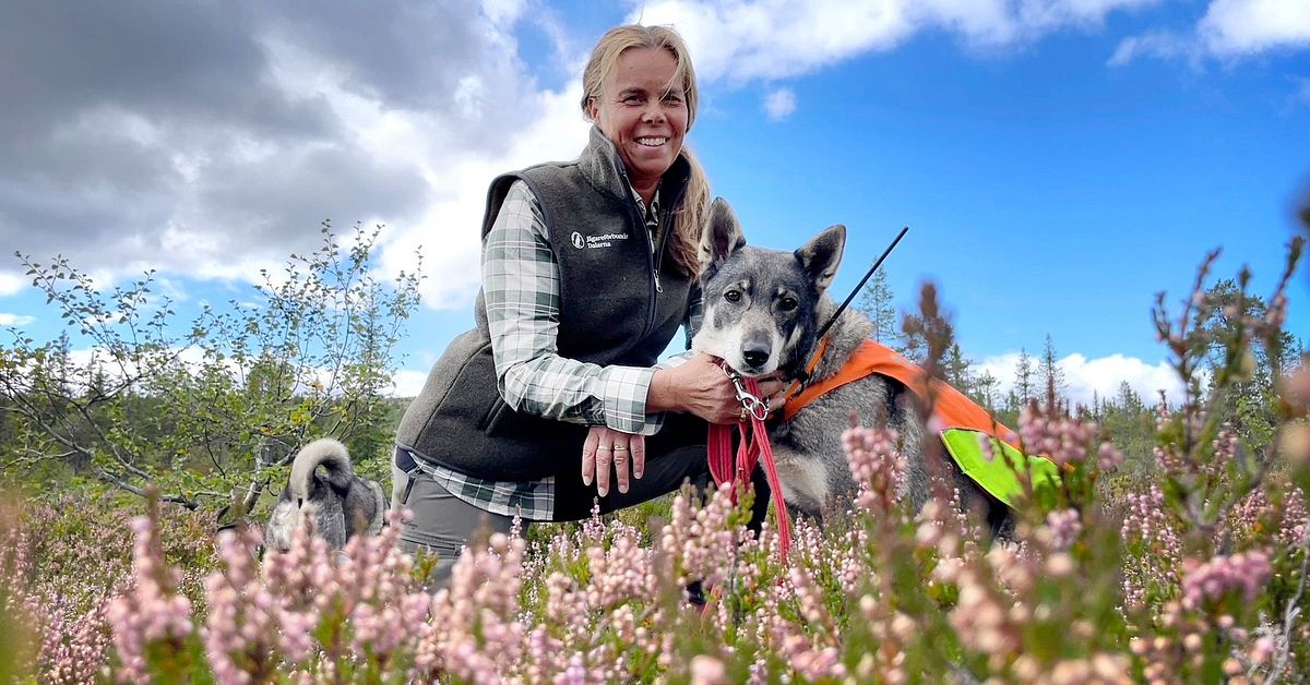 Lisa i Trandstrand redo för jakt – ser till att fler kvinnor jagar björn