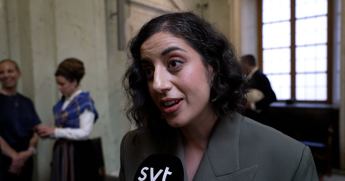 L-ledaren: Tycker inte SD ska ingå i regeringen