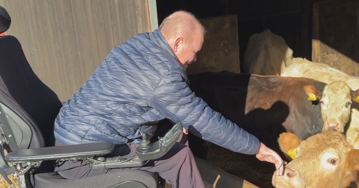 Evert hamnade i rullstol efter TBE-smitta &ndash; trots vaccin: &rdquo;Maximal otur&rdquo;