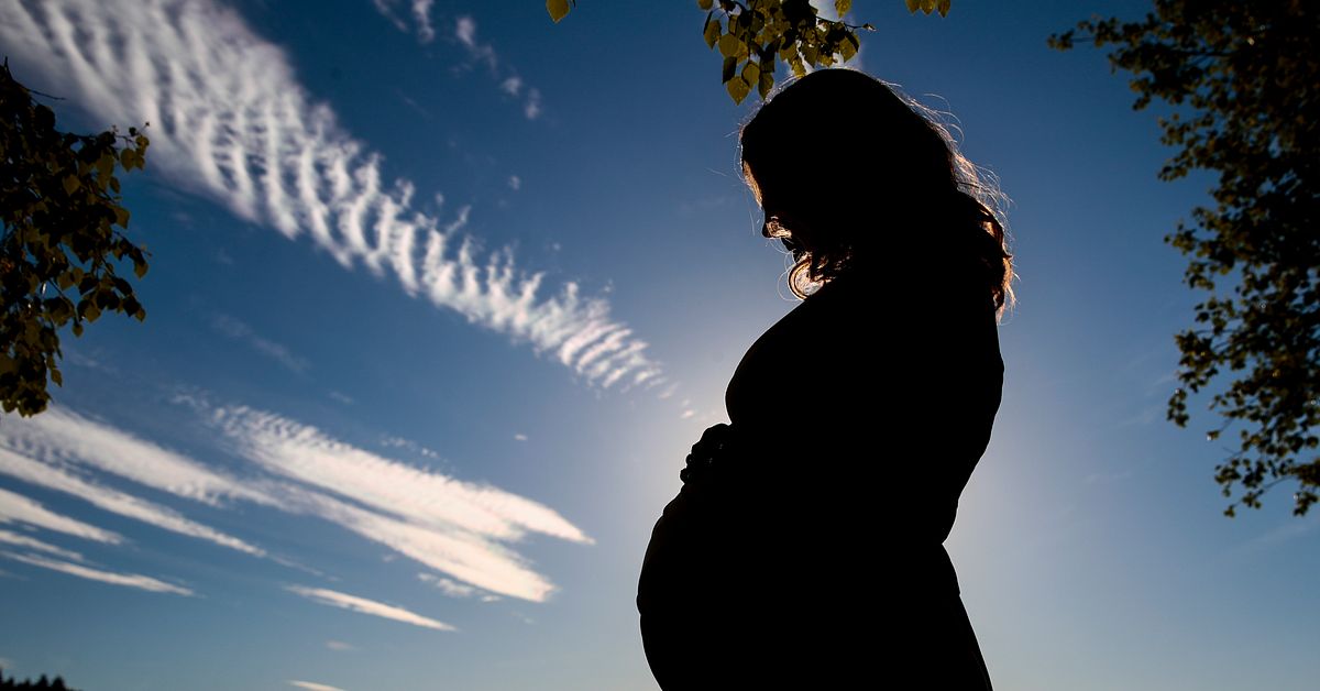 De s&auml;ljer sex p&aring; n&auml;tet &ndash; och donerar &auml;gg till barnl&ouml;sa