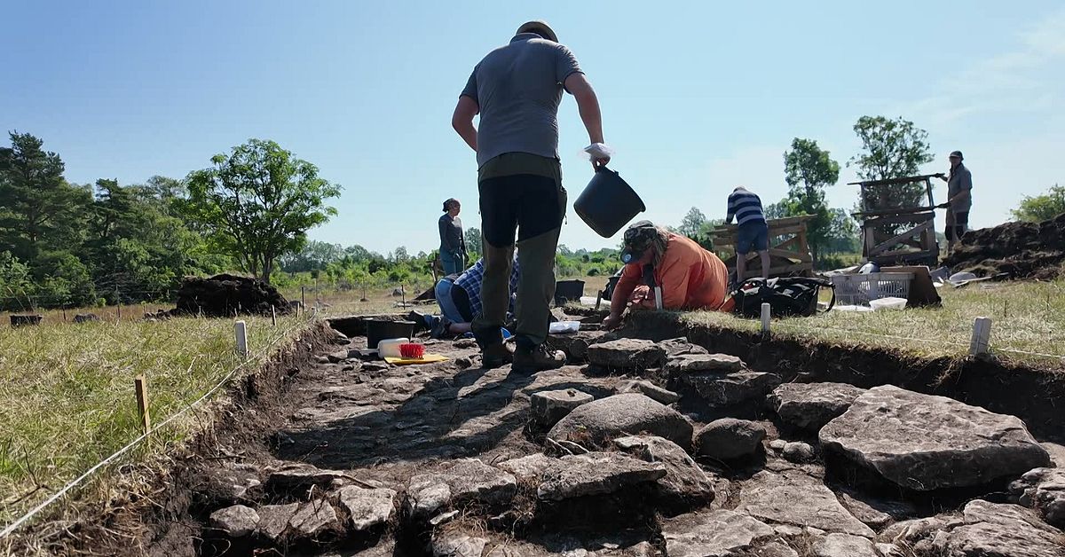 Här grävs gotlandsgårdens historia fram