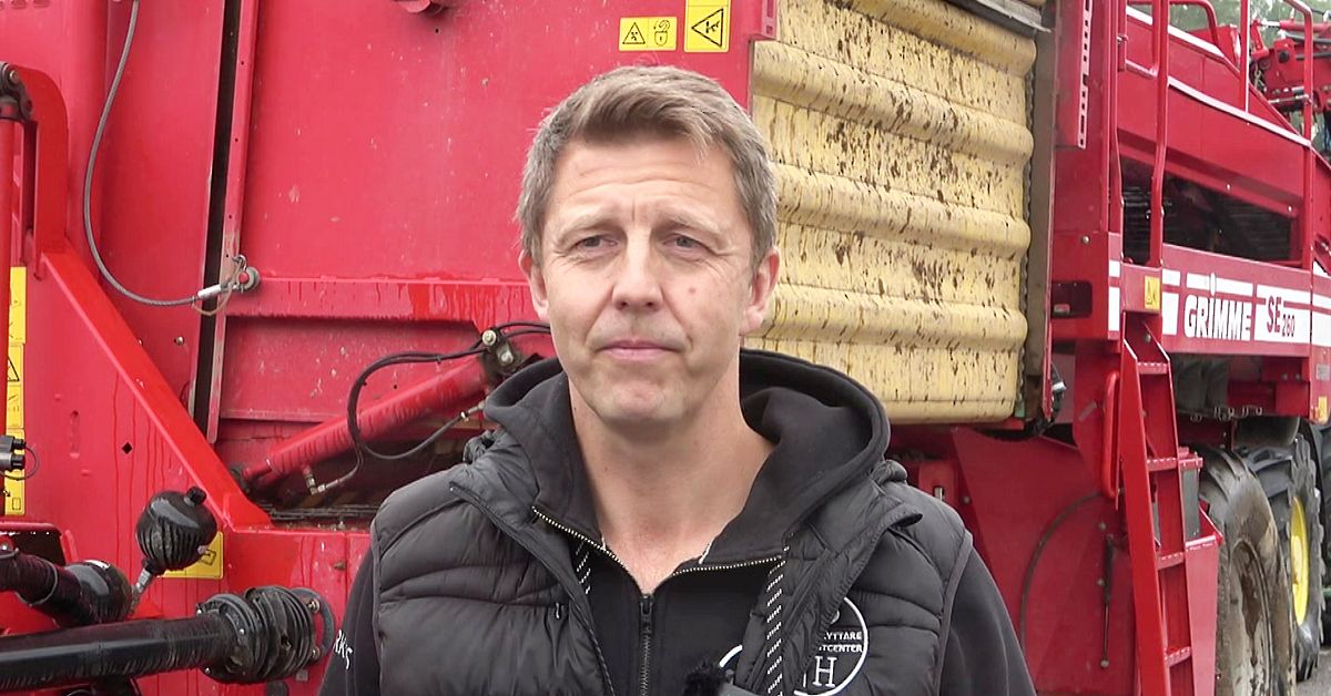 Pite&aring;bonden Markus mardr&ouml;m: &rdquo;Potatisen kan drunkna&rdquo;