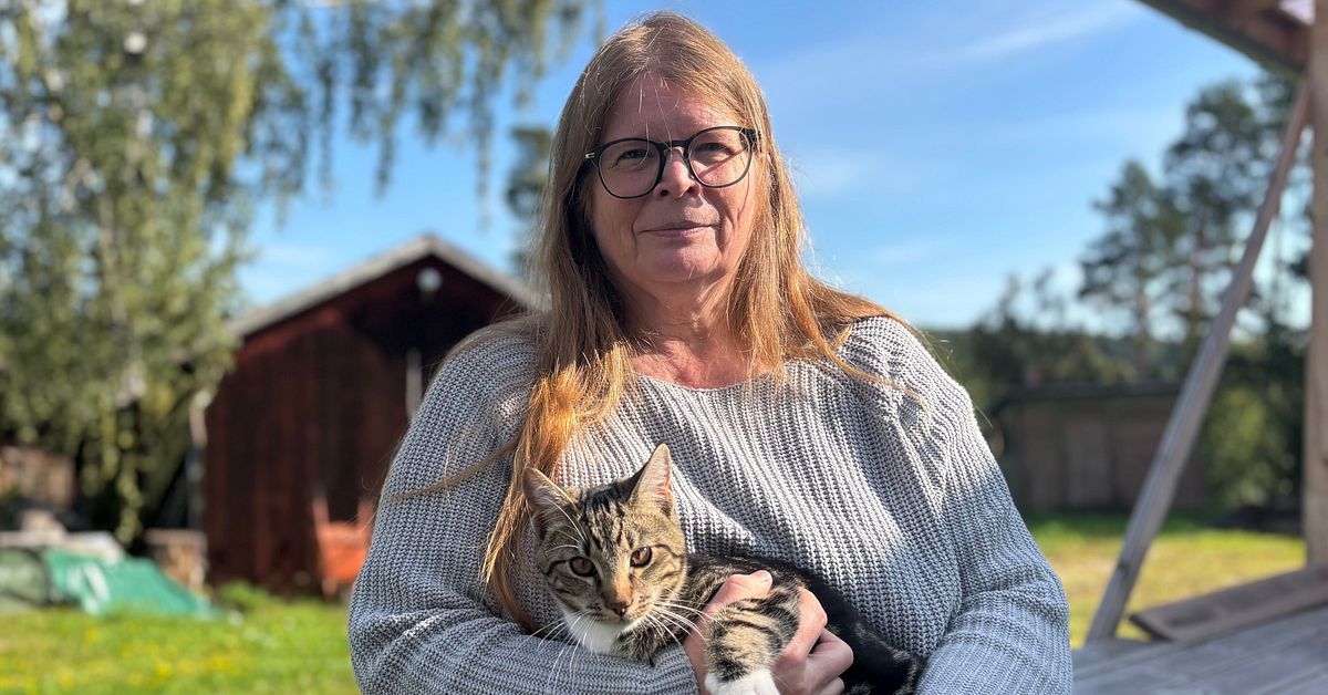 Olika typer av djurförbud – experten förklarar