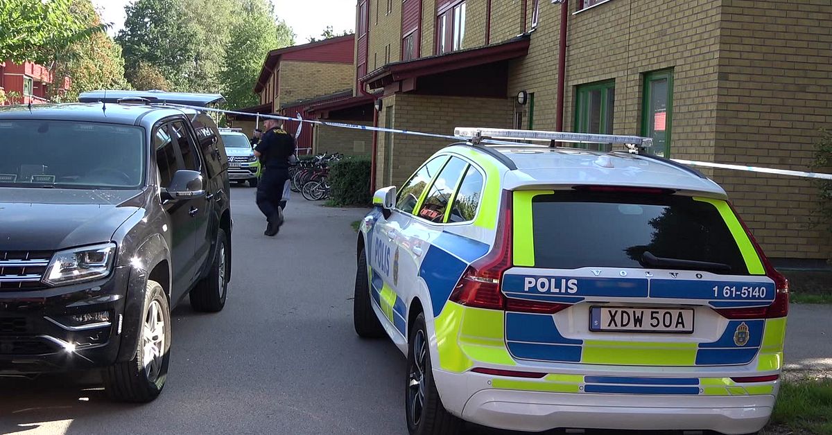 Polis sköt kvinna med yxa – frias