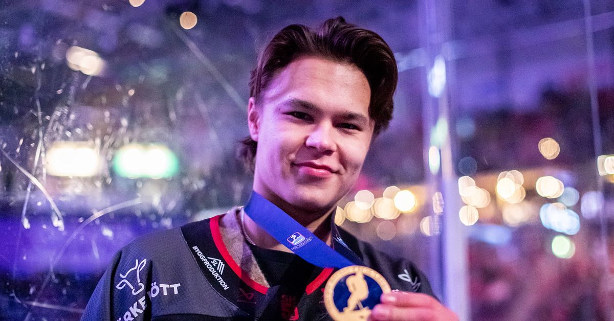 Herman Liv tillbaka i HV71: &rdquo;K&auml;nns otroligt&rdquo;