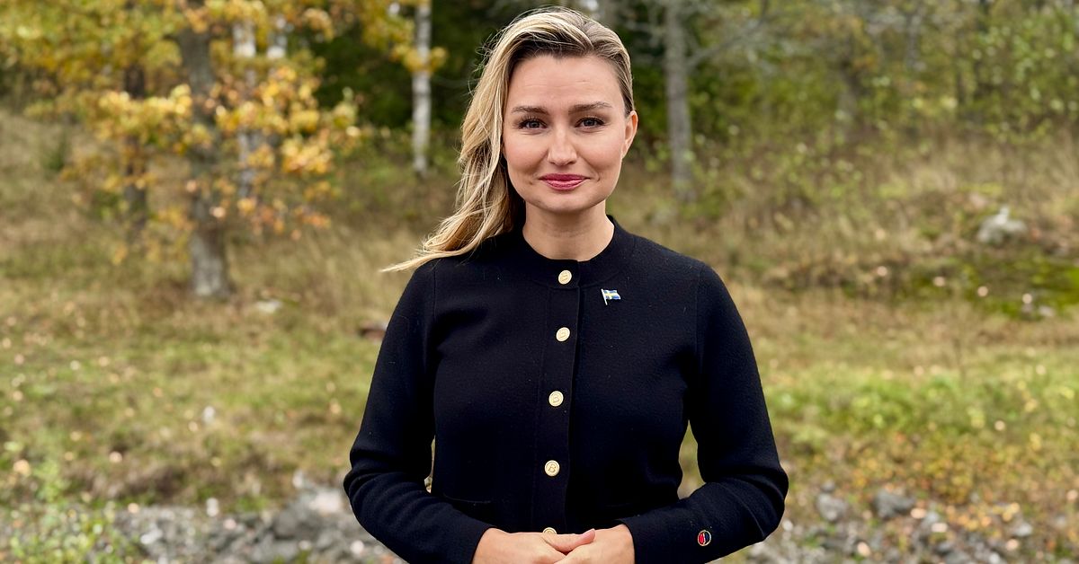 Ebba Busch (KD) om statsministeromr&ouml;stningen:  Ser v&auml;g till bl&aring; regering