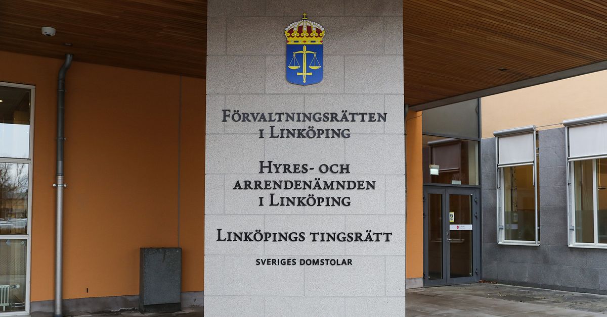 17-&aring;ring planerade lustmord i Link&ouml;ping