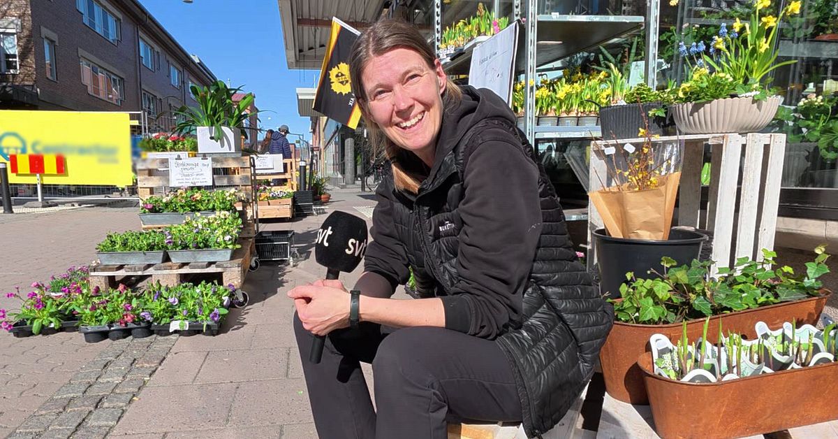 Unika siffror: Tionde SM-finalen f&ouml;r Skellefte&aring; AIK &ndash; p&aring; 15 &aring;r