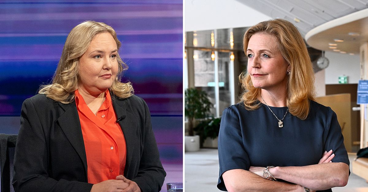 Ida Gabrielsson (V): C kan inte räkna med stort inflytande