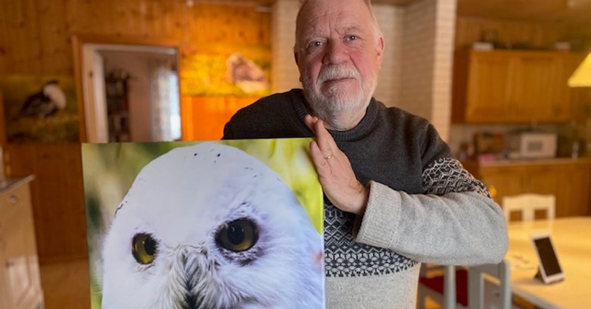 Uggle-experten Berth-Ove i Boden: Så kan fjällugglan återvända