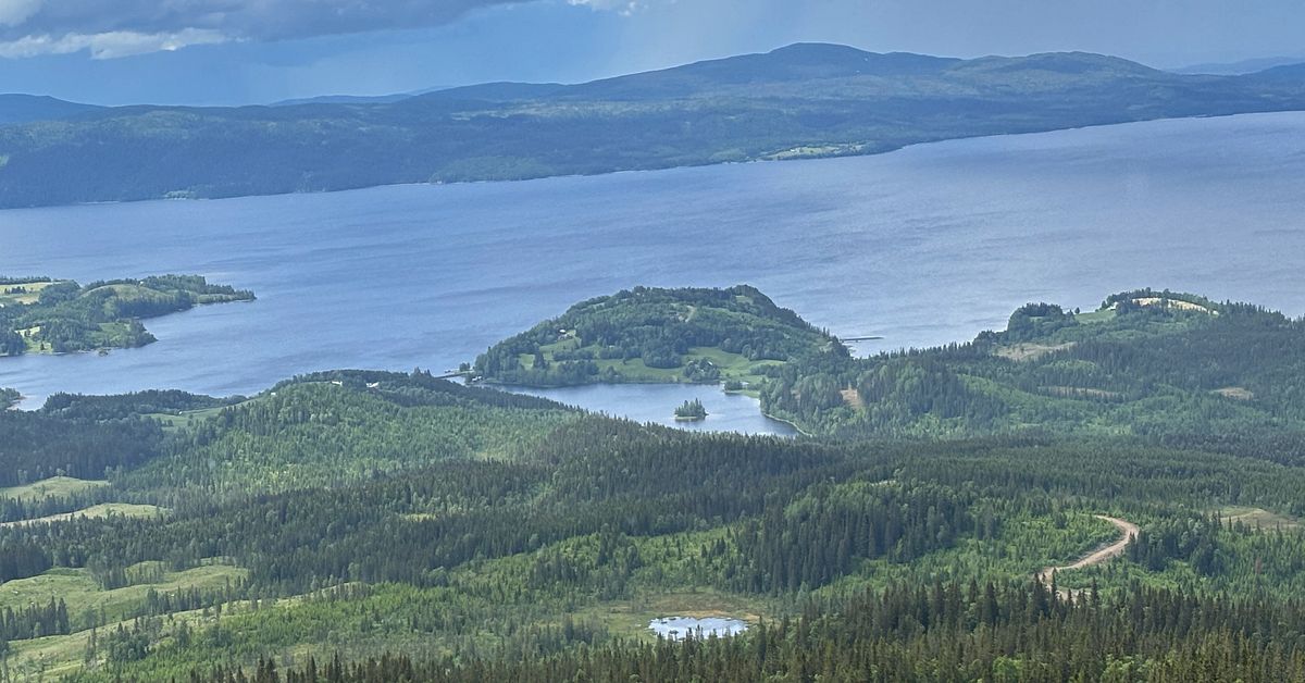 Efter stoppad avverkning &ndash; Hyttstens beh&ouml;ver st&auml;mma staten f&ouml;r ers&auml;ttning