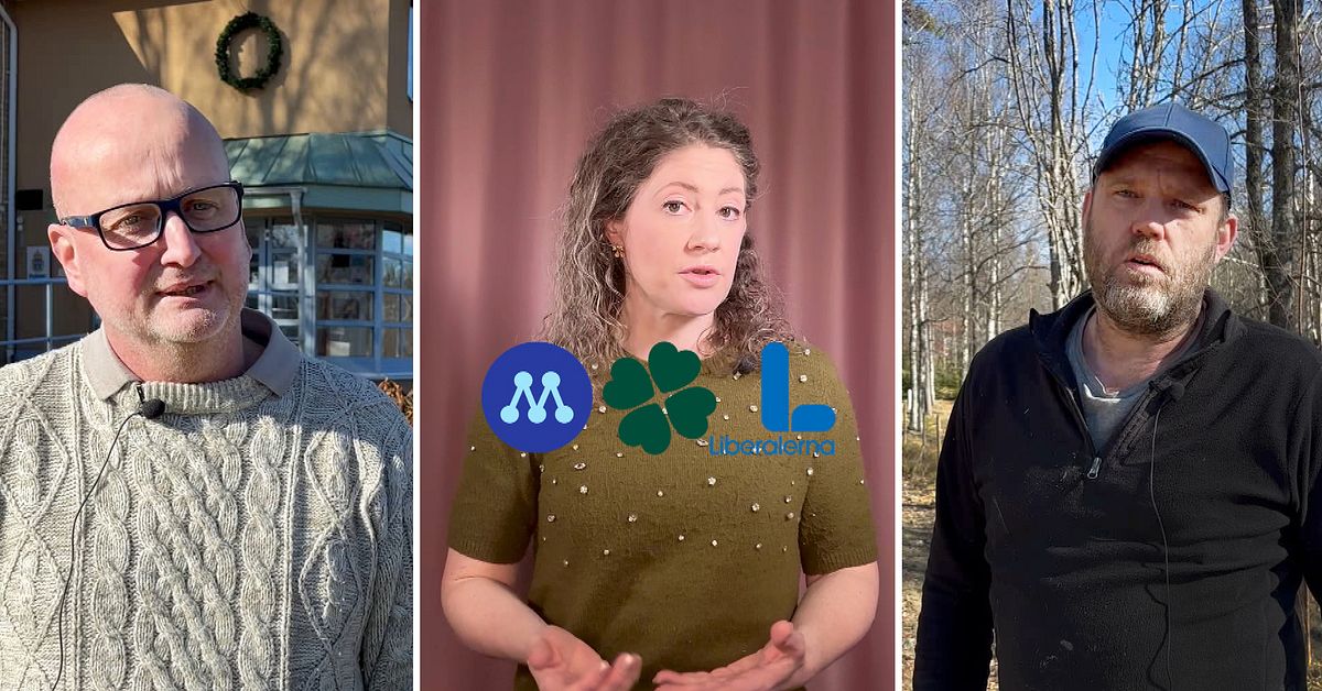 V&auml;nsterpartiet vill att Skinnskattebergs kommun polisanm&auml;ler Jonny Emtin (SD)